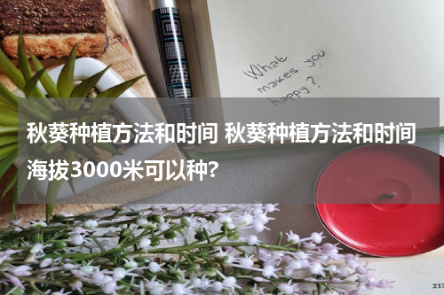 秋葵种植方法和时间 秋葵种植方法和时间海拔3000米可以种?