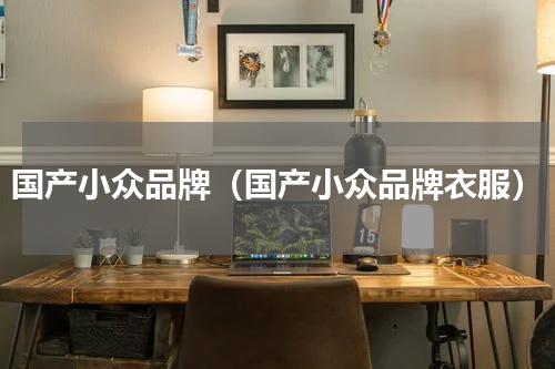 国产小众品牌（国产小众品牌衣服）