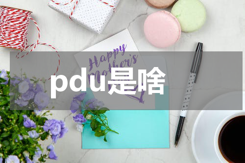 pdu是啥