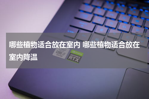 哪些植物适合放在室内 哪些植物适合放在室内降温