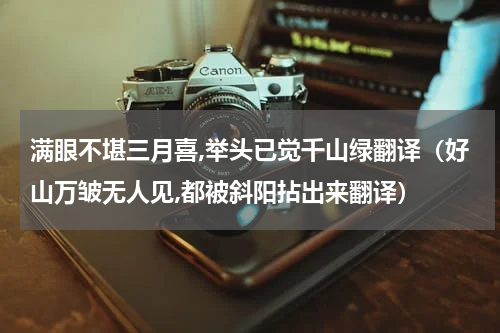 满眼不堪三月喜,举头已觉千山绿翻译（好山万皱无人见,都被斜阳拈出来翻译）