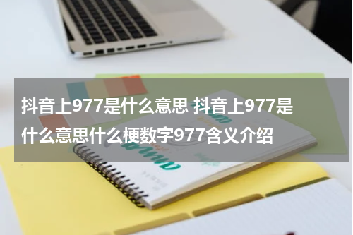 抖音上977是什么意思 抖音上977是什么意思什么梗数字977含义介绍