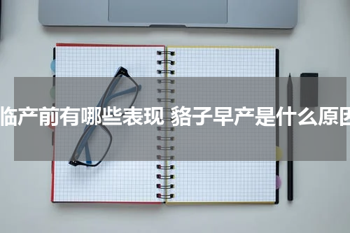 貉临产前有哪些表现 貉子早产是什么原因
