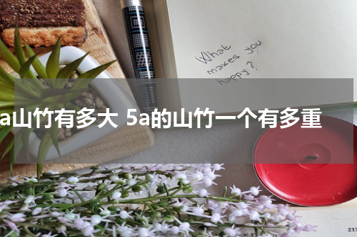 5a山竹有多大 5a的山竹一个有多重