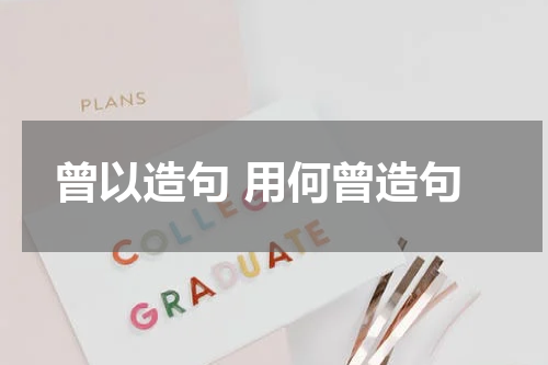 曾以造句 用何曾造句
