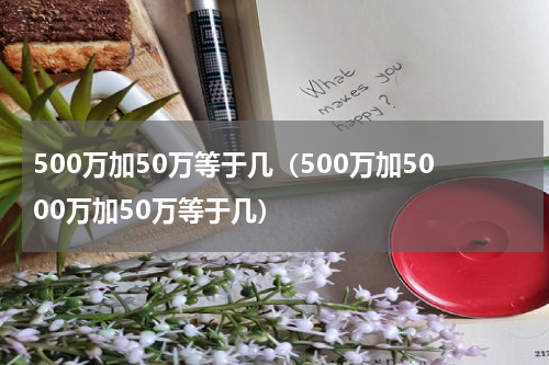 500万加50万等于几（500万加5000万加50万等于几）