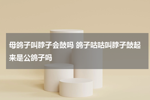 母鸽子叫脖子会鼓吗 鸽子咕咕叫脖子鼓起来是公鸽子吗