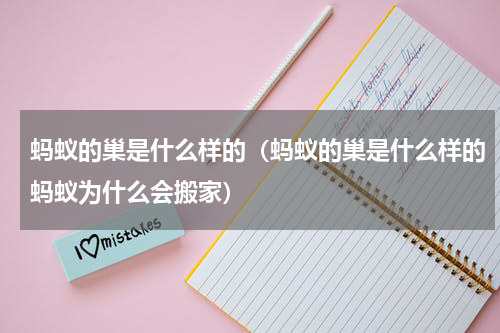蚂蚁的巢是什么样的（蚂蚁的巢是什么样的蚂蚁为什么会搬家）