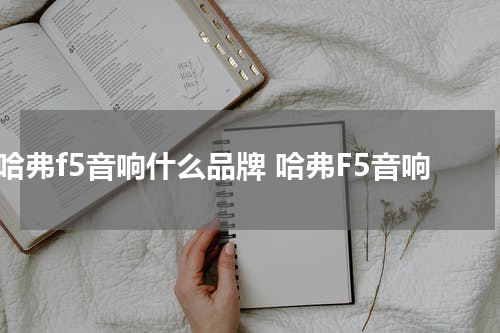 哈弗f5音响什么品牌 哈弗F5音响