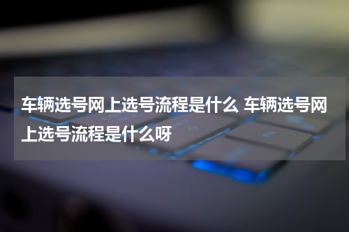 车辆选号网上选号流程是什么 车辆选号网上选号流程是什么呀