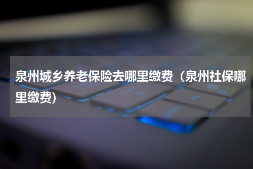 泉州城乡养老保险去哪里缴费（泉州社保哪里缴费）