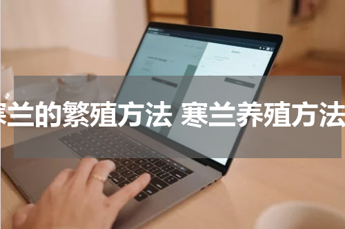 寒兰的繁殖方法 寒兰养殖方法