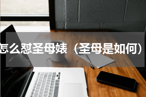 怎么怼圣母婊（圣母是如何）