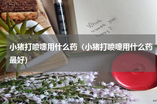 小猪打喷嚏用什么药（小猪打喷嚏用什么药最好）