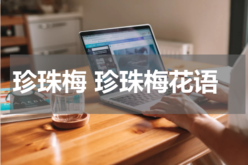 珍珠梅 珍珠梅花语