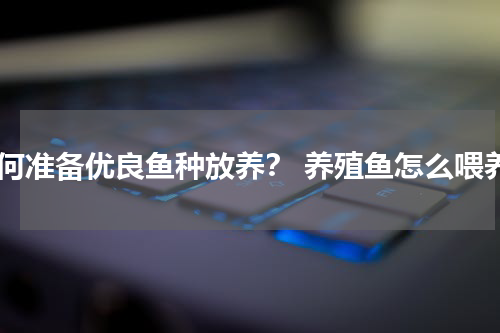 如何准备优良鱼种放养？ 养殖鱼怎么喂养