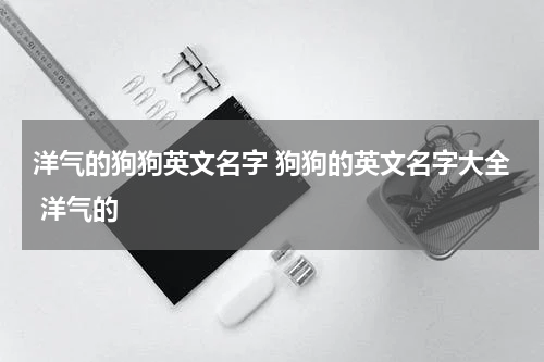 洋气的狗狗英文名字 狗狗的英文名字大全 洋气的