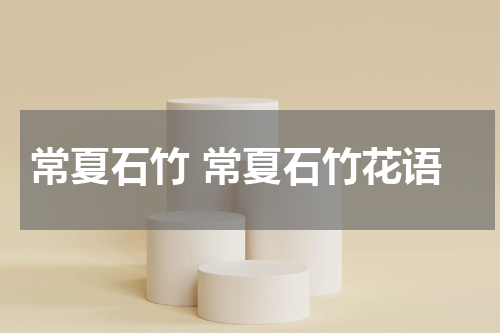 常夏石竹 常夏石竹花语