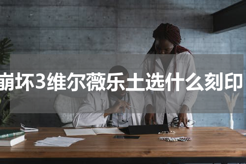 崩坏3维尔薇乐土选什么刻印