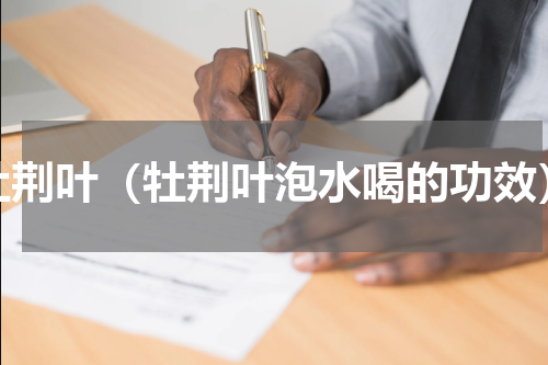 牡荆叶（牡荆叶泡水喝的功效）