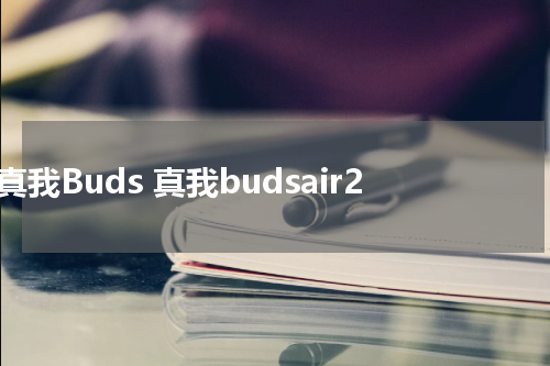 真我Buds 真我budsair2