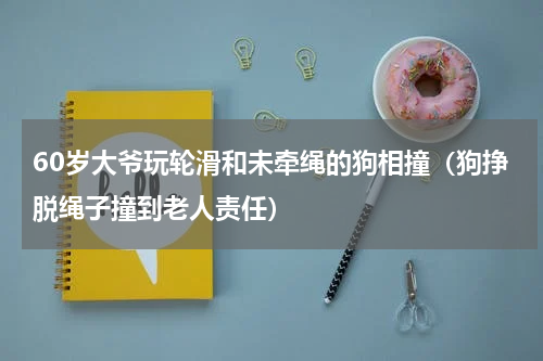 60岁大爷玩轮滑和未牵绳的狗相撞（狗挣脱绳子撞到老人责任）