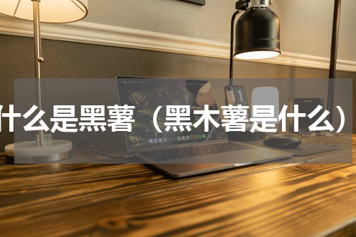 什么是黑薯（黑木薯是什么）