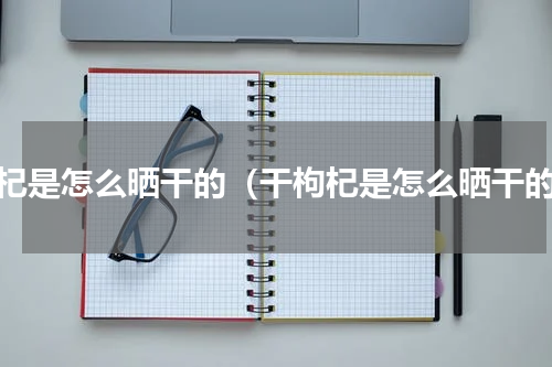 枸杞是怎么晒干的（干枸杞是怎么晒干的）