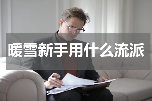 暖雪新手用什么流派