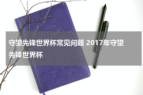 守望先锋世界杯常见问题 2017年守望先锋世界杯