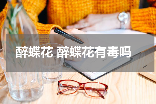 醉蝶花 醉蝶花有毒吗