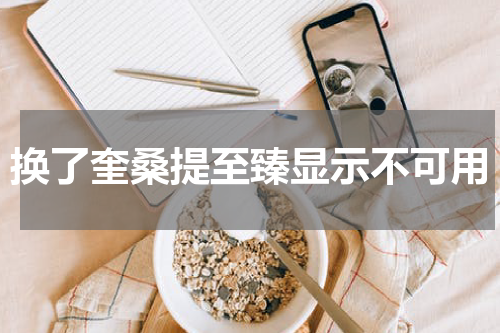 换了奎桑提至臻显示不可用
