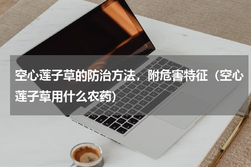 空心莲子草的防治方法，附危害特征（空心莲子草用什么农药）