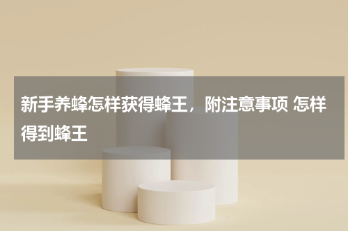 新手养蜂怎样获得蜂王，附注意事项 怎样得到蜂王