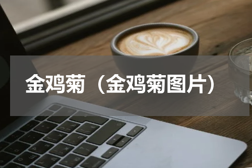 金鸡菊（金鸡菊图片）