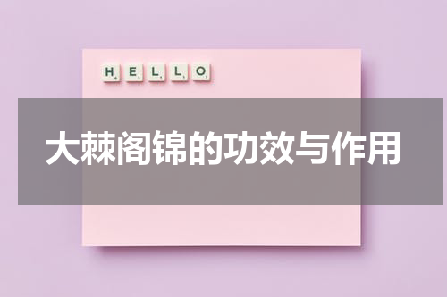 大棘阁锦的功效与作用