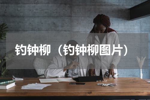 钓钟柳（钓钟柳图片）