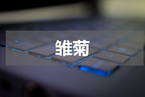 雏菊