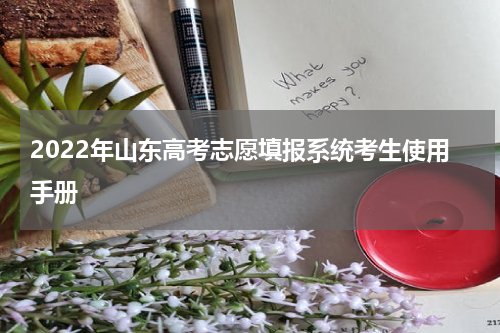 2022年山东高考志愿填报系统考生使用手册