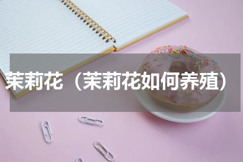 茉莉花（茉莉花如何养殖）