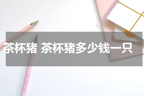 茶杯猪 茶杯猪多少钱一只