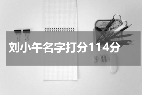 刘小午名字打分114分