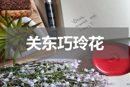 关东巧玲花