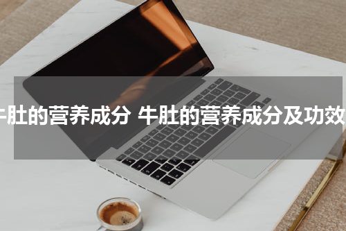 牛肚的营养成分 牛肚的营养成分及功效
