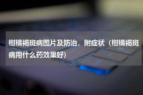 柑橘褐斑病图片及防治，附症状（柑橘褐斑病用什么药效果好）