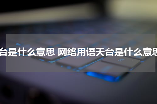 天台是什么意思 网络用语天台是什么意思