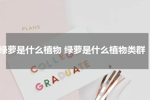 绿萝是什么植物 绿萝是什么植物类群