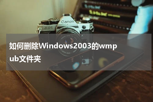 如何删除Windows2003的wmpub文件夹