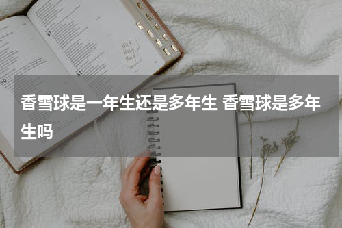 香雪球是一年生还是多年生 香雪球是多年生吗