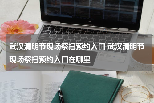 武汉清明节现场祭扫预约入口 武汉清明节现场祭扫预约入口在哪里